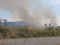Ροδόπη: Φωτιά σε χαμηλή βλάστηση στην Εργάνη – Επιχειρούν και εναέρια μέσα