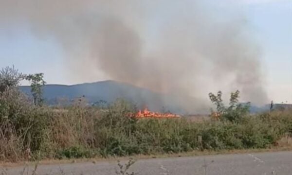 Ροδόπη: Φωτιά σε χαμηλή βλάστηση στην Εργάνη – Επιχειρούν εναέρια μέσα