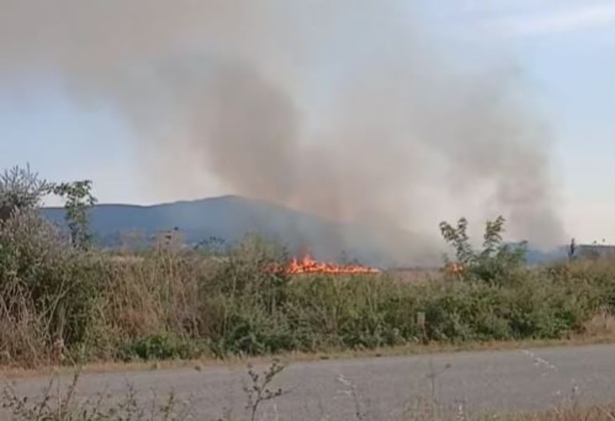 Ροδόπη: Φωτιά σε χαμηλή βλάστηση στην Εργάνη – Επιχειρούν εναέρια μέσα
