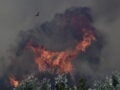Φωτιά στον Άγιο Βασίλειο Βοιωτίας, με δραματικές εκκενώσεις και απεγκλωβισμούς – Πύρινα μέτωπα και σε Αργολίδα, Αχαΐα – Live οι εξελίξεις