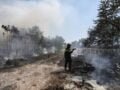 Μαραθώνας: Σύλληψη 21χρονης που έβαζε επίτηδες φωτιές σε ξερά χόρτα – Κατηγορείται για εμπρησμό από πρόθεση