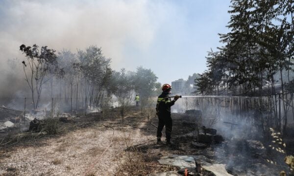 Μαραθώνας: Σύλληψη 21χρονης για εμπρησμό από πρόθεση, έβαζε επίτηδες φωτιές σε ξερά χόρτα