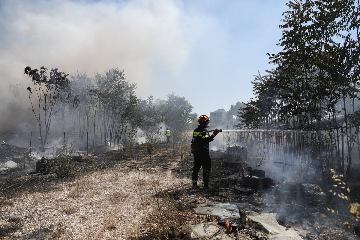 Μαραθώνας: Σύλληψη 21χρονης για εμπρησμό από πρόθεση, έβαζε επίτηδες φωτιές σε ξερά χόρτα