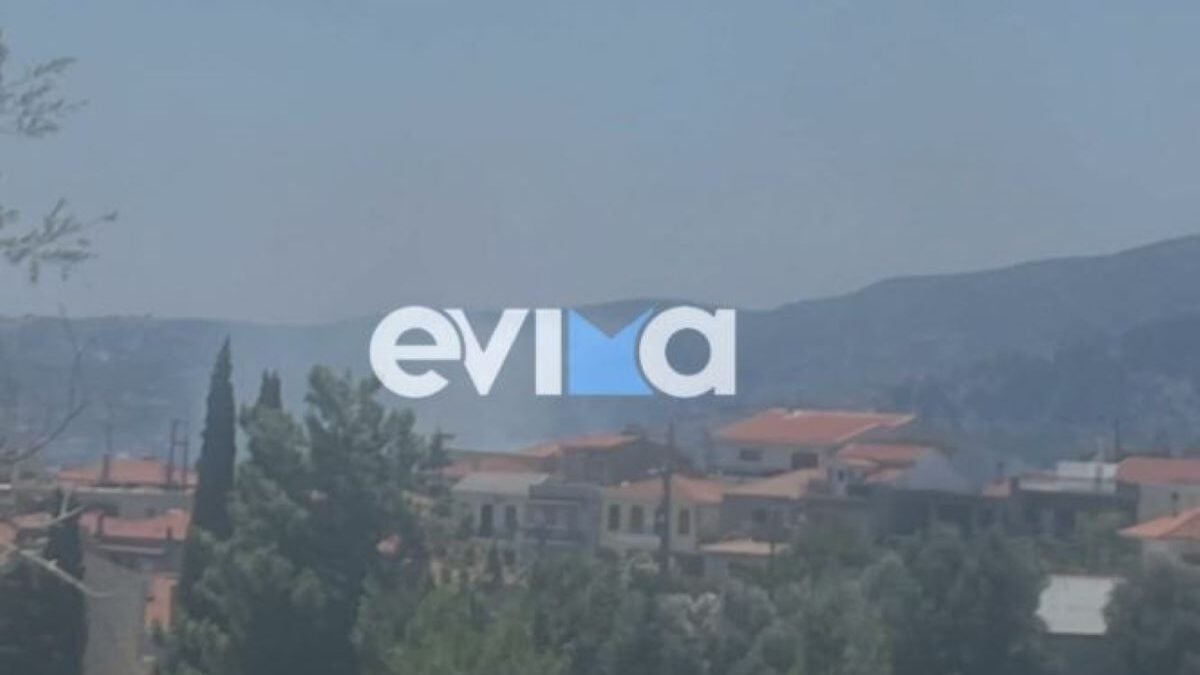 Φωτιά στην Εύβοια καίει κοντά σε σπίτια 1 Φωτιά στην Εύβοια καίει κοντά σε σπίτια