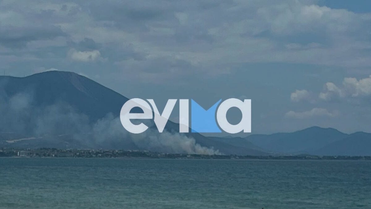Φωτιά στη Χαλκίδα στην περιοχή του Αγίου Μηνά 2 Φωτιά στη Χαλκίδα στην περιοχή του Αγίου Μηνά