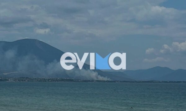 Φωτιά στον Άγιο Μηνά Χαλκίδας