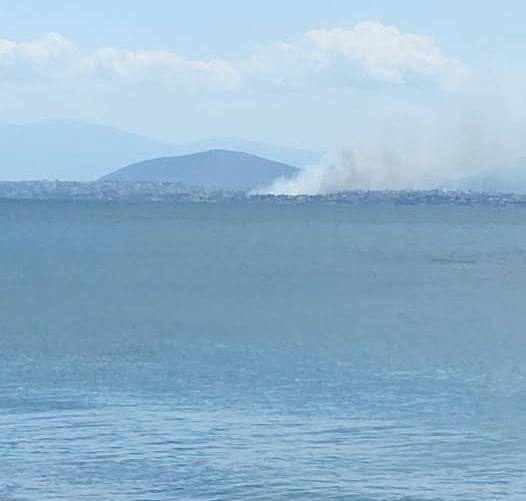 Φωτιά στη Χαλκίδα στην περιοχή του Αγίου Μηνά 7 φωτιά χαλκίδα