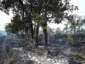 Γαλλία: 115.000 εκτάρια έγιναν στάχτη από τις πυρκαγιές, στους 88 οι τραυματίες πυροσβέστες