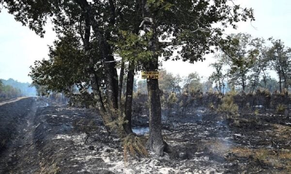 Γαλλία: 115.000 εκτάρια έγιναν στάχτη από τις πυρκαγιές, στους 88 οι τραυματίες πυροσβέστες