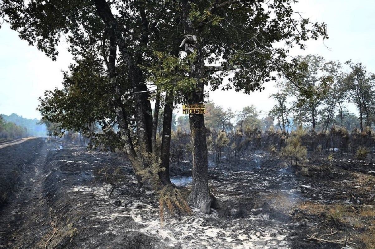 Γαλλία: 115.000 εκτάρια έγιναν στάχτη από τις πυρκαγιές, στους 88 οι τραυματίες πυροσβέστες