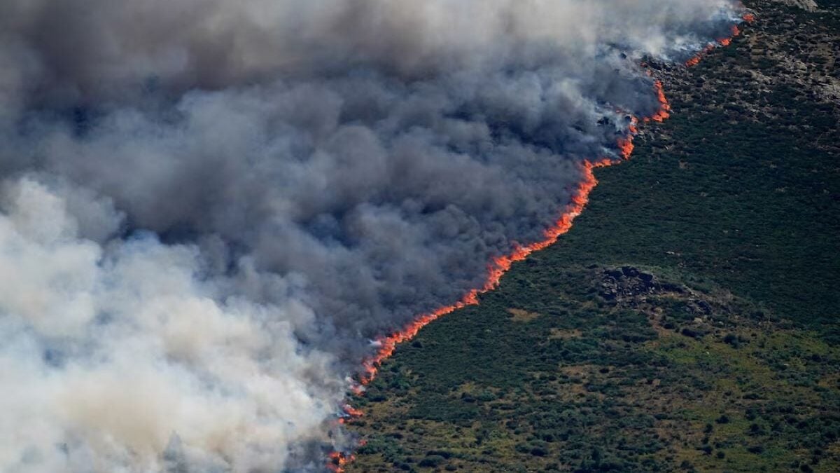 Πυρκαγιές στη Νότια Ευρώπη: Ανεξέλεγκτα μέτωπα σε Γαλλία και Ισπανία, δεκάδες χιλιάδες εκτοπισμένοι 1 Πυρκαγιές στη Νότια Ευρώπη: Ανεξέλεγκτα μέτωπα σε Γαλλία και Ισπανία, δεκάδες χιλιάδες εκτοπισμένοι