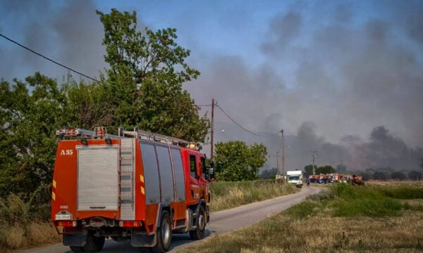 Φωτιά στη Χαλκιδική στην περιοχή Παράδεισος: Επίγειες δυνάμεις στο σημείο