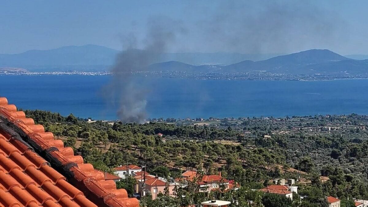 Φωτιά στην Εύβοια στην περιοχή Πολιτικά – Εναέρια μέσα στο σημείο 1 Φωτιά στην Εύβοια στην περιοχή Πολιτικά – Εναέρια μέσα στο σημείο