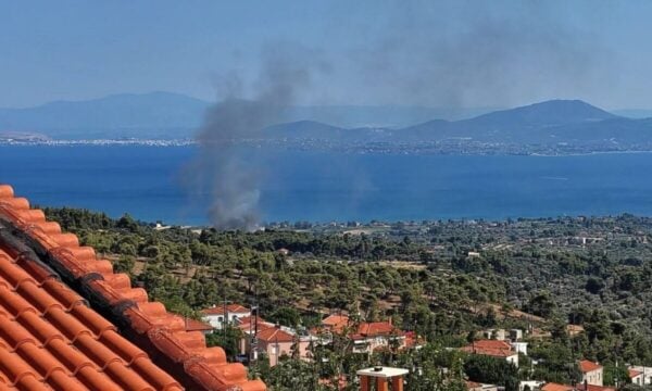 Φωτιά στην Εύβοια στην περιοχή Πολιτικά – Εναέρια μέσα στο σημείο