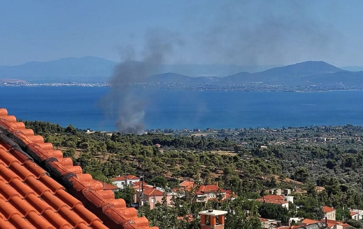 Φωτιά στην Εύβοια στην περιοχή Πολιτικά – Εναέρια μέσα στο σημείο
