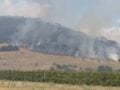 Φωτιά στον Αργυρόμυλο Λάρισας: Οι πυροσβέστες δίνουν μάχη με τους ισχυρούς ανέμους