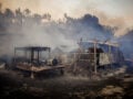 Φωτιά στη Λέσβο: Έως 1.000 στρέμματα έγιναν στάχτη στο Πλωμάρι – Καταστράφηκαν ελαιώνες και κτηνοτροφικές μονάδες