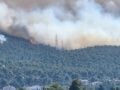 «Η φωτιά στην Οινόη μπορεί να ξεκίνησε από τσιγάρο που πετάχτηκε από αυτοκίνητο», λέει ο δήμαρχος Μάνδρας – Ειδυλλίας