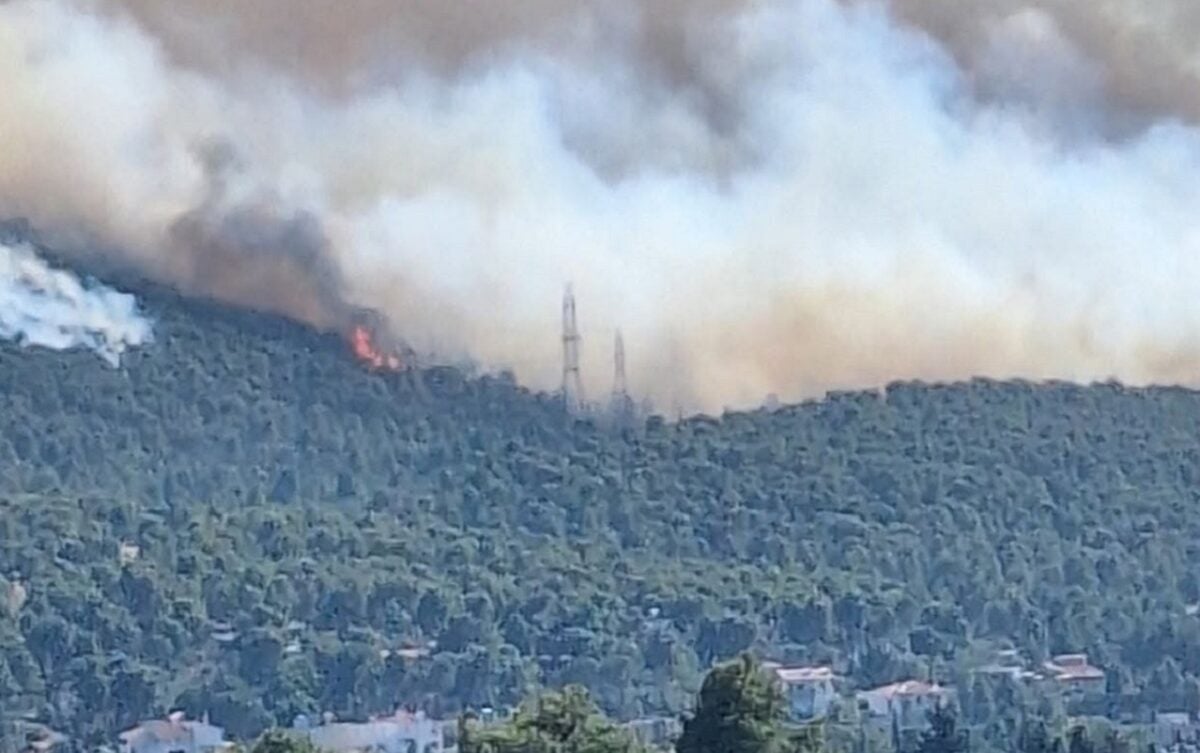 «Η φωτιά στην Οινόη μπορεί να ξεκίνησε από τσιγάρο που πετάχτηκε από αυτοκίνητο», λέει ο δήμαρχος Μάνδρας – Ειδυλλίας