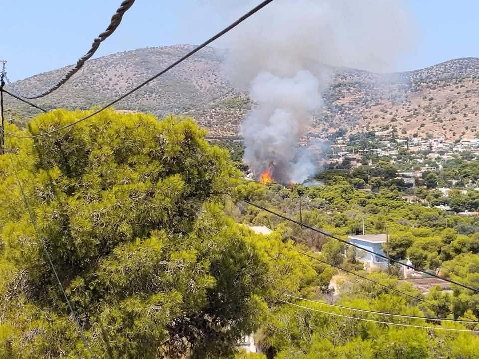 Φωτιά στη Σαλαμίνα στην περιοχή Σελίνια: Μηνύματα του 112 στους κατοίκους – «Απομακρυνθείτε προς παραλία» 12 Φωτιά στη Σαλαμίνα στην περιοχή Σελίνια: Μηνύματα του 112 στους κατοίκους – «Απομακρυνθείτε προς παραλία»