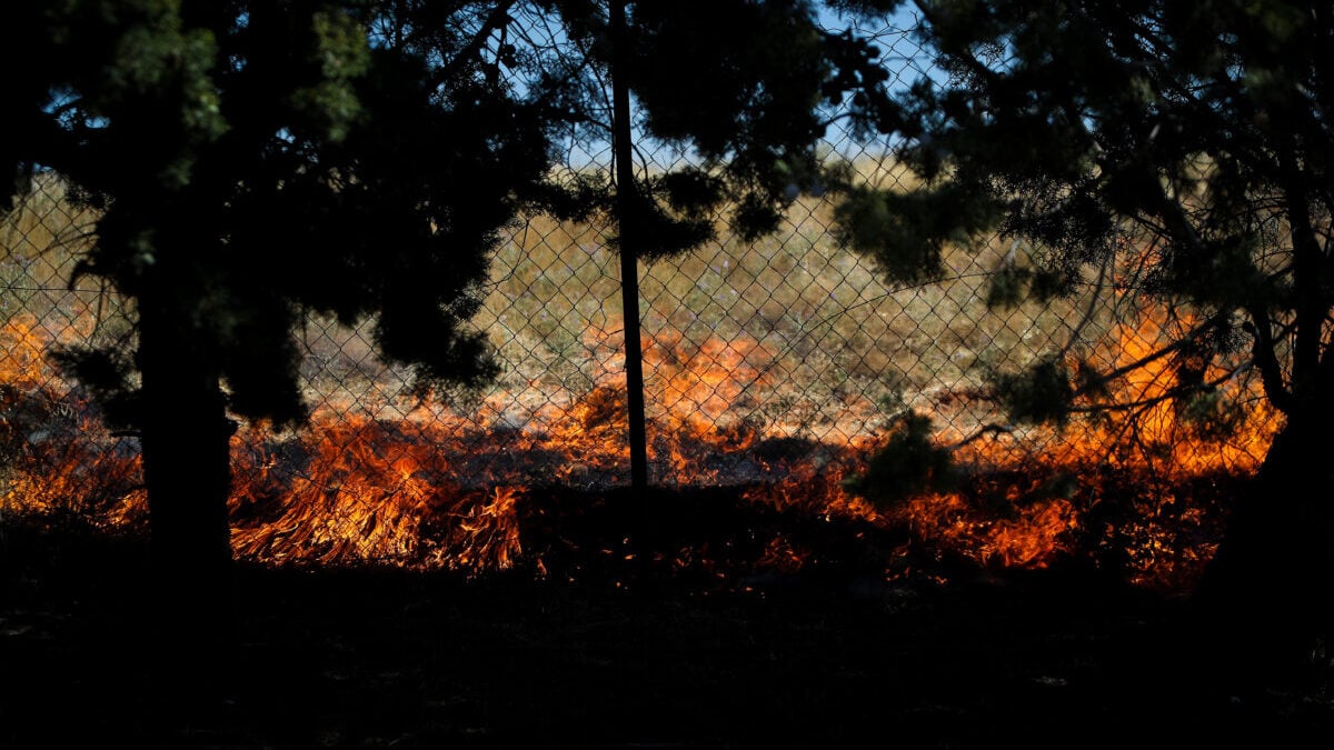 Φωτιά στο Κορωπί: Πάνω από 45 πυροσβέστες στην κατάσβεση 1 Φωτιά στο Κορωπί: Πάνω από 45 πυροσβέστες στην κατάσβεση