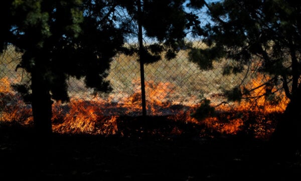 Φωτιά στο Κορωπί: Πάνω από 45 πυροσβέστες στην κατάσβεση