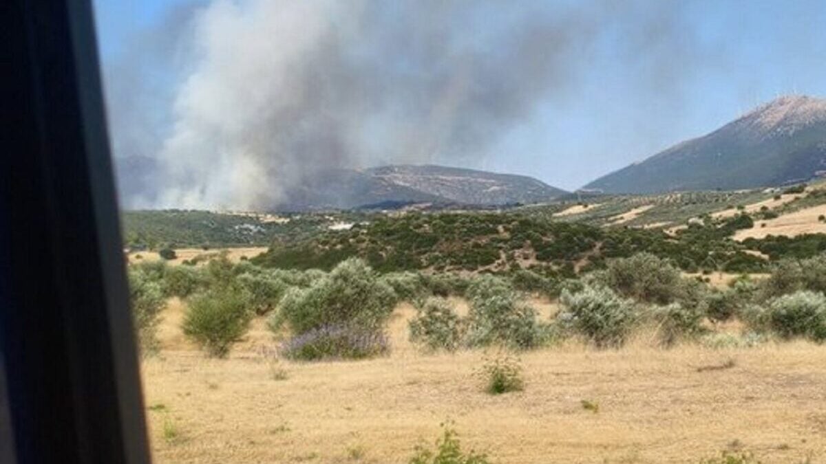 Φωτιά στην Αγία Ελένη Τροιζηνίας: Οι δυνάμεις παραμένουν στο σημείο χωρίς ενεργό μέτωπο 1 Φωτιά στην Αγία Ελένη Τροιζηνίας: Οι δυνάμεις παραμένουν στο σημείο χωρίς ενεργό μέτωπο