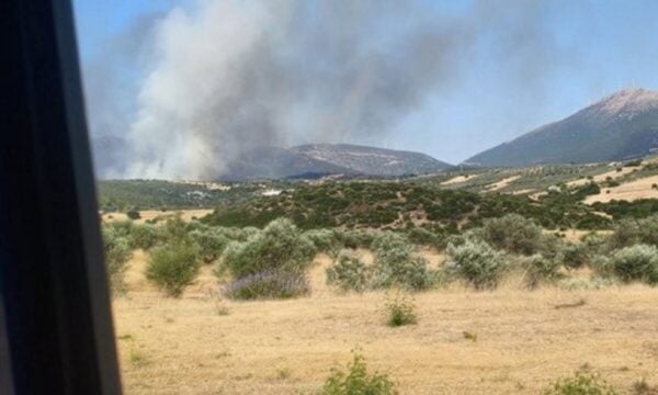 Φωτιά στην Αγία Ελένη Τροιζηνίας: Οι δυνάμεις παραμένουν στο σημείο χωρίς ενεργό μέτωπο
