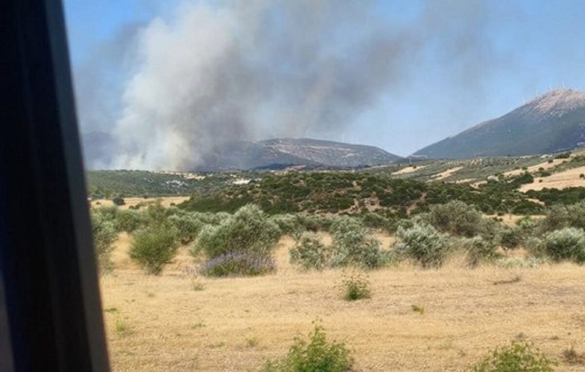 Φωτιά στην Αγία Ελένη Τροιζηνίας: Οι δυνάμεις παραμένουν στο σημείο χωρίς ενεργό μέτωπο