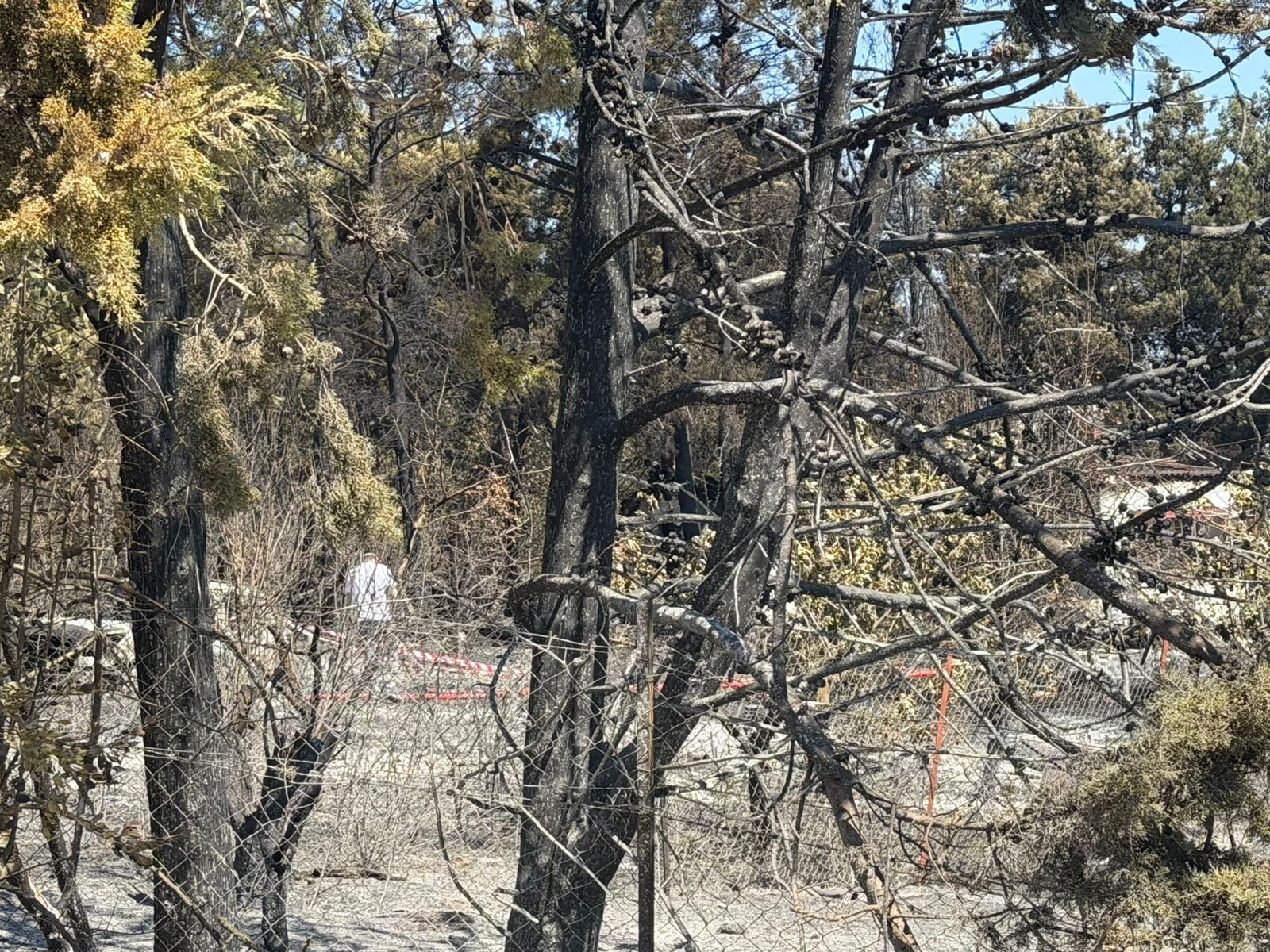 Φωτιά στο Ωραιόκαστρο: Η σορός του 12χρονου βρέθηκε μέσα στη ντουλάπα – Παραμένει στο νοσοκομείο με εγκαύματα η μητέρα του