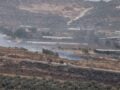 Γάζα – Δυτική Όχθη: Πέντε Παλαιστίνιοι νεκροί σε ισραηλινές επιχειρήσεις