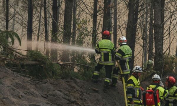 Γαλλία: Νέες πυρκαγιές εν μέσω καύσωνα – Προειδοποίηση για τις επόμενες ημέρες