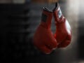 ΥΠΟΙΚ: Πόρισμα για την Ελληνική Ομοσπονδία Πυγμαχίας με αγορές iPhone, PlayStation, ροζ κανίς και πολυτελή ξενοδοχεία – Έκπτωτες δύο διοικήσεις