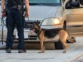 Τρόμος στα Βριλήσσια: Σκύλος επιτέθηκε σε άνδρα και σκότωσε το κατοικίδιό του