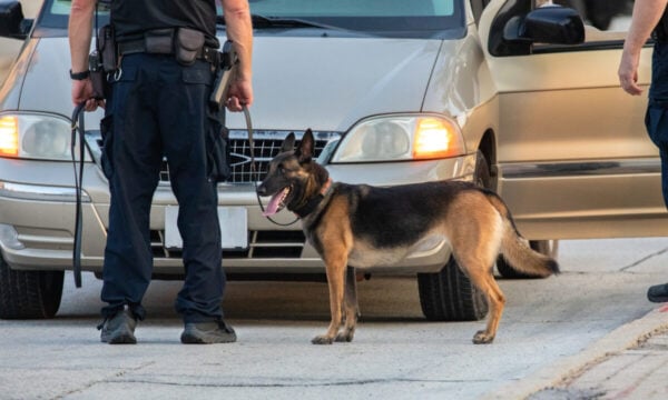 Σκύλος επιτέθηκε σε άνδρα και σκότωσε το κατοικίδιό του στα Βριλήσσια