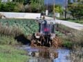 Ο ΕΛΓΑ ξεκίνησε τις καταγραφές ζημιών από τις χαλαζοπτώσεις – Αποζημιώσεις στο 100% και προκαταβολές στα πρότυπα Daniel