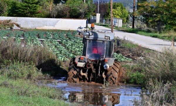 Ο ΕΛΓΑ ξεκίνησε τις καταγραφές ζημιών από τις χαλαζοπτώσεις – Αποζημιώσεις στο 100% και προκαταβολές στα πρότυπα Daniel