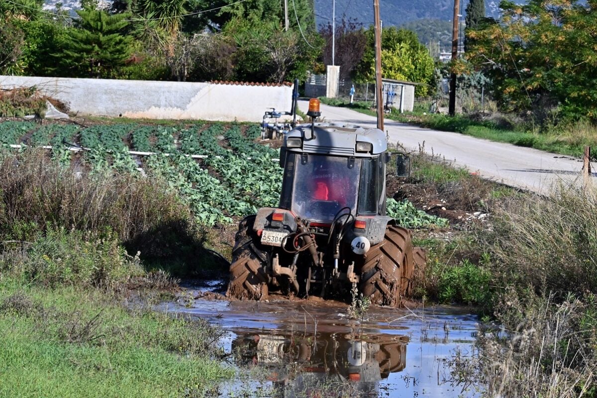 ΕΛΓΑ ξεκίνησε τις καταγραφές ζημιών από τις χαλαζοπτώσεις – Αποζημιώσεις στο 100% και προκαταβολές στα πρότυπα Daniel