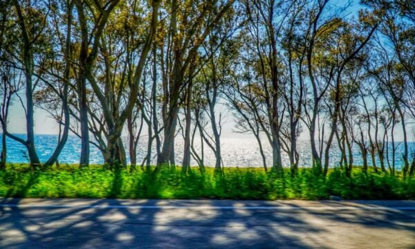 Καιρός: Θερμοκρασία έως 39°C, άνεμοι έως 8 μποφόρ και αφρικανική σκόνη – Η πρόγνωση των επόμενων ημερών