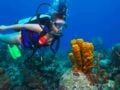 Ελληνικά νησιά που αναζητούν οι τουρίστες για θαλάσσια σπορ