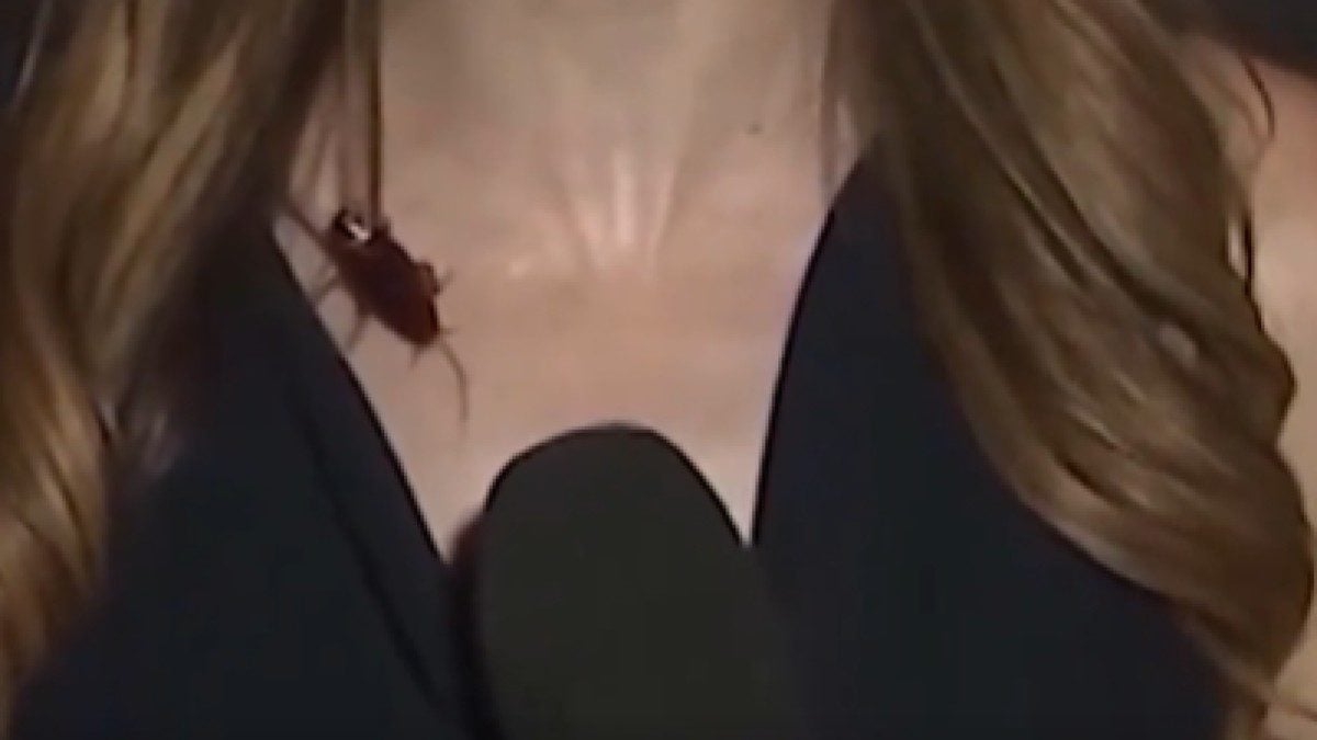 Κατσαρίδα έκανε βόλτες πάνω σε ρεπόρτερ σε live σύνδεση – Η αντίδρασή της (Βίντεο)