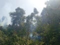Φωτιά στο Άνω Κεράσοβο Αιτωλοακαρνανίας – Σηκώθηκαν 4 αεροσκάφη