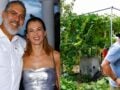 Κούλλης Νικολάου: Μποστάνι στην Κύπρο με φωτογραφίες και βίντεο