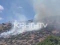 Κρήτη: Ενεργά τρία μέτωπα φωτιάς σε Γάζι, Ιεράπετρα και Βιάννο