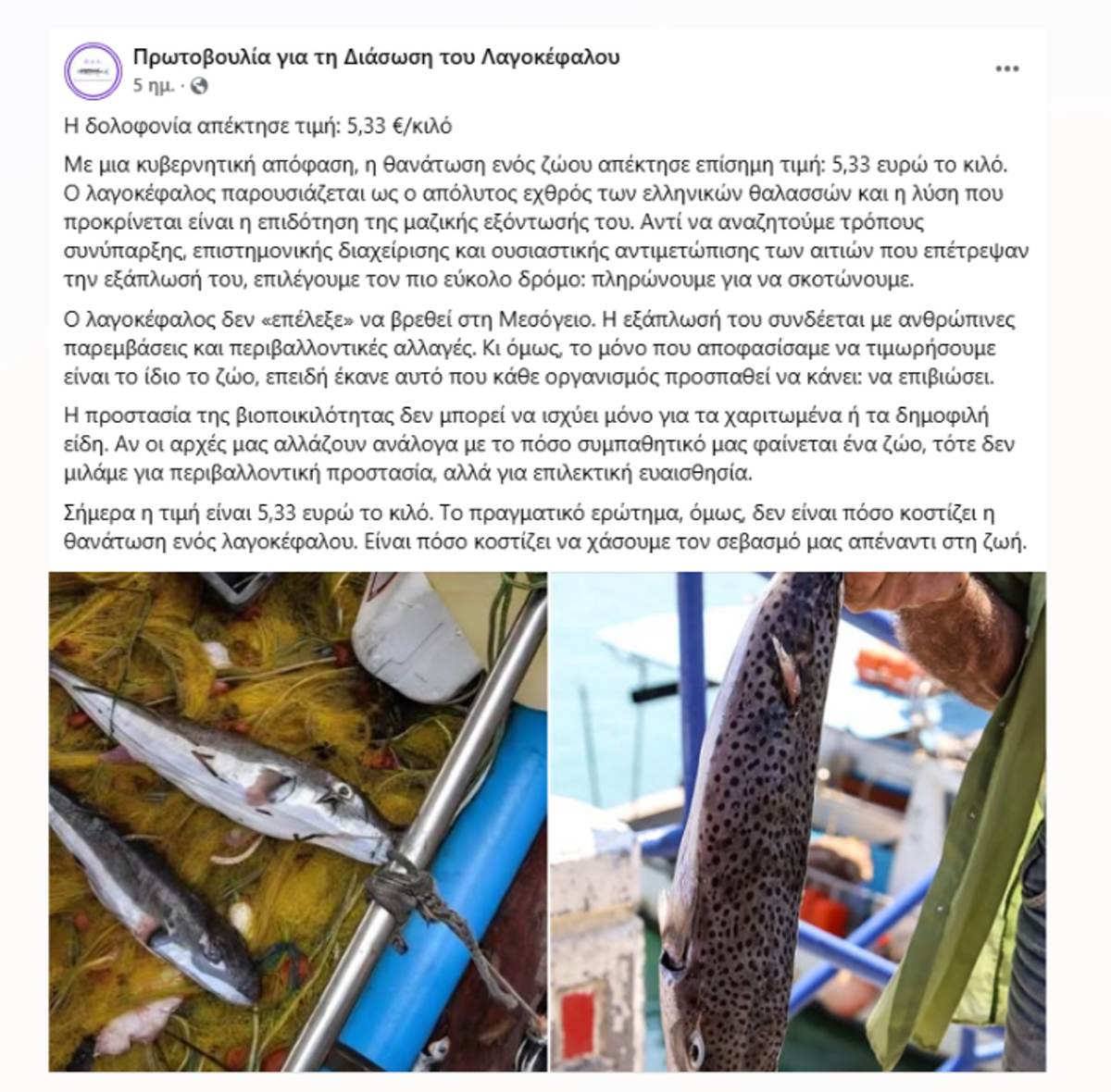 Facebook: Η πρωτοβουλία για τη διάσωση του λαγοκέφαλου που έχει ξεσηκώσει το διαδίκτυο 8 διάσωση για τον λαγοκέφαλο