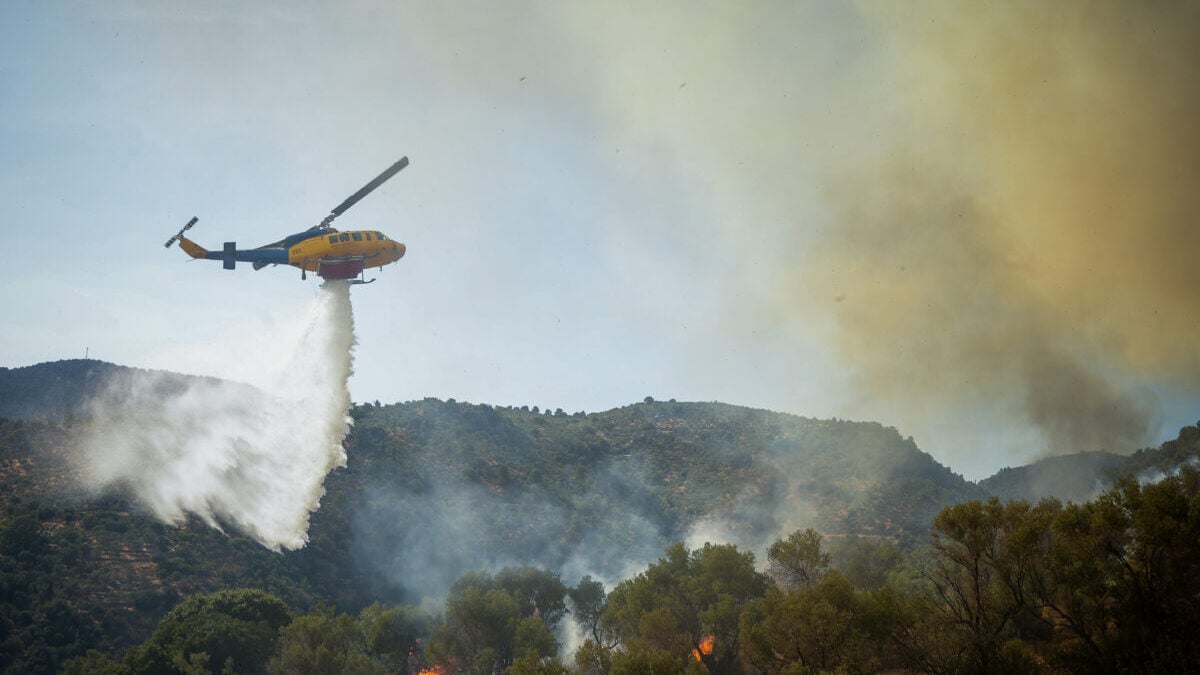 Φωτιά στη Λέσβο: Μάχη με ανέμους και αναζωπυρώσεις στο Πλωμάρι 1 Φωτιά στη Λέσβο: Μάχη με ανέμους και αναζωπυρώσεις στο Πλωμάρι