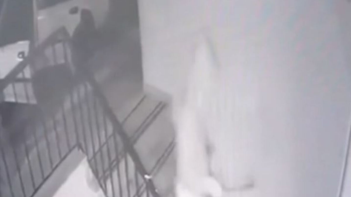 Συμμορία που άδειαζε κοσμηματοπωλεία στην Αττική: Βίντεο ντοκουμέντο 1 Συμμορία που άδειαζε κοσμηματοπωλεία στην Αττική: Βίντεο ντοκουμέντο