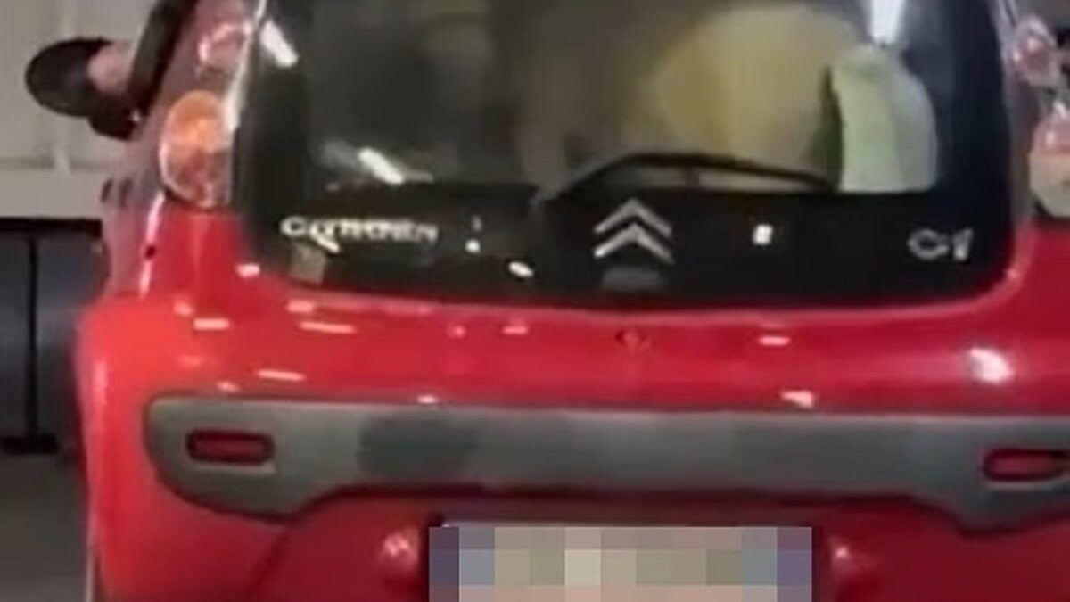 Πόνι στο πορτμπαγκάζ αυτοκινήτου σε φέρι μποτ – Βίντεο 1 Πόνι στο πορτμπαγκάζ αυτοκινήτου σε φέρι μποτ – Βίντεο
