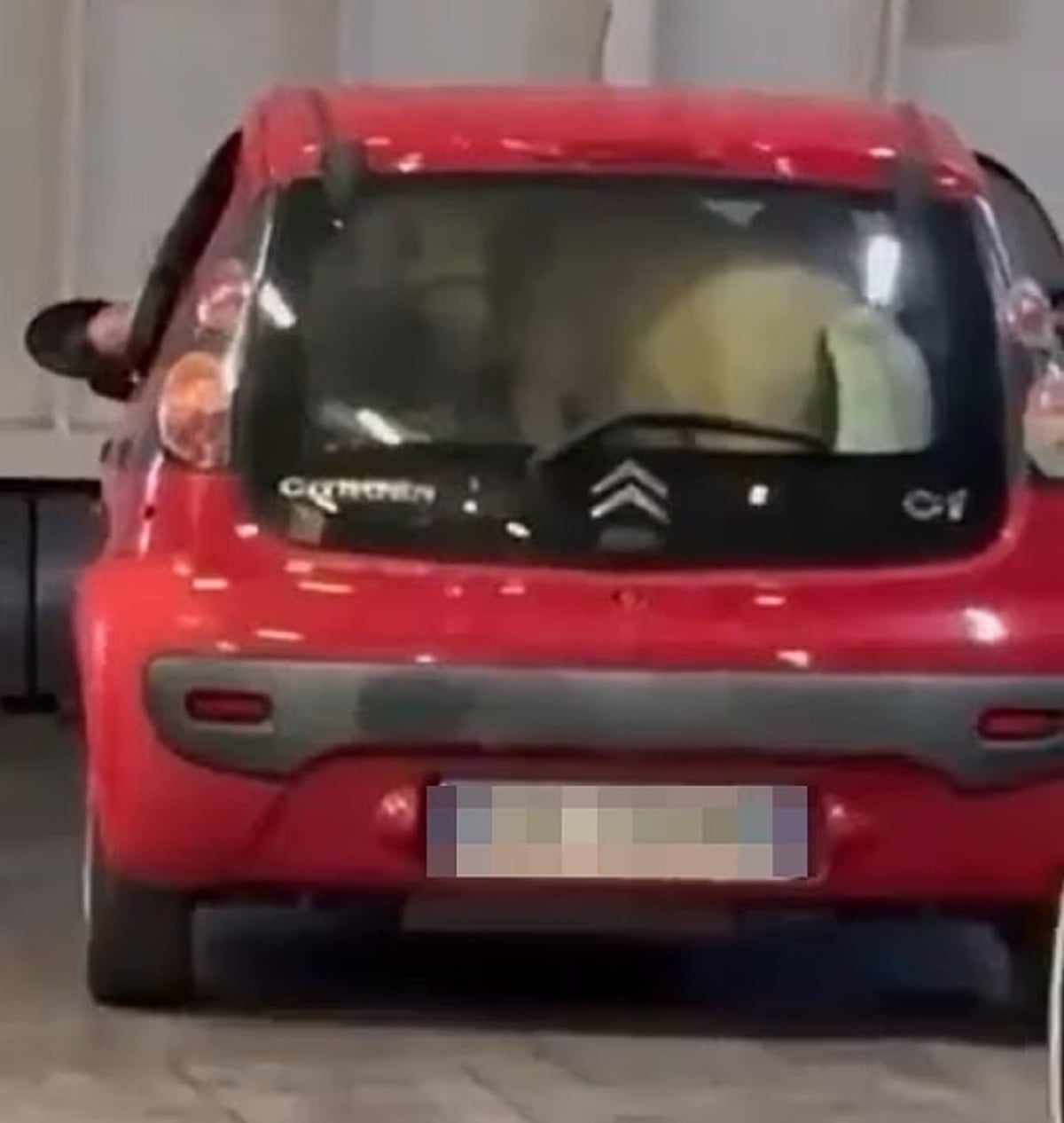 Πόνι στο πορτμπαγκάζ αυτοκινήτου σε φέρι μποτ – Βίντεο