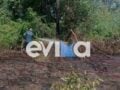 Φωτιά στο Μαντούδι Ευβοίας – Στο σημείο πυροσβεστικές δυνάμεις